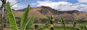 Fijian Mountains